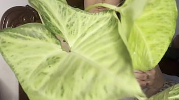 Hello dear big natural tit wiggle