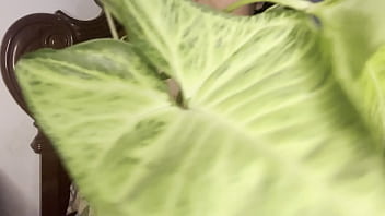 Hello dear big natural tit wiggle