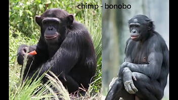 Modernidade acabando com os homens