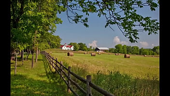 Modernidade acabando com os homens