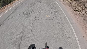 For ur dick pussy ass