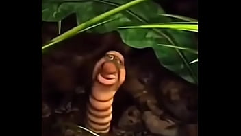 Veio safado dando bom dia pras novinha