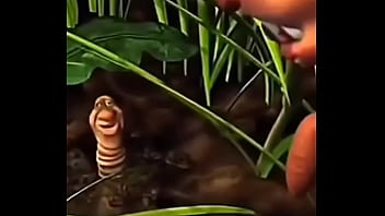 Veio safado dando bom dia pras novinha