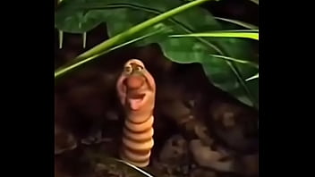 Veio safado dando bom dia pras novinha