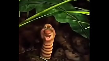 Veio safado dando bom dia pras novinha