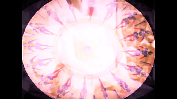 Retro Erotic Drawings thumbnail