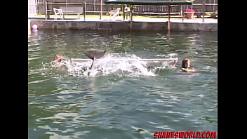 Swimming with miami dolphins then swimming in miami threesome sex