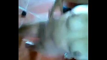 10910337 10205042862985035 917080526 n