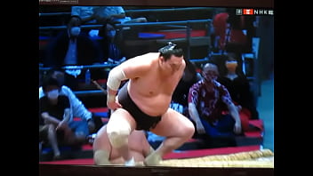 やっぱり白鵬ちゃんは八百長相撲なんだね？