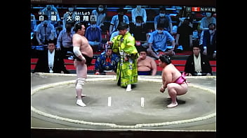 やっぱり白鵬ちゃんは八百長相撲なんだね？