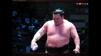 やっぱり白鵬ちゃんは八百長相撲なんだね？