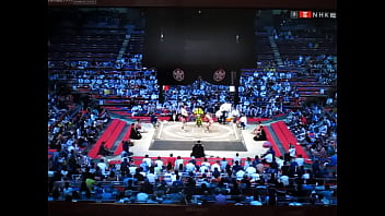 やっぱり白鵬ちゃんは八百長相撲なんだね？