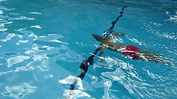 Doing laps in the pool