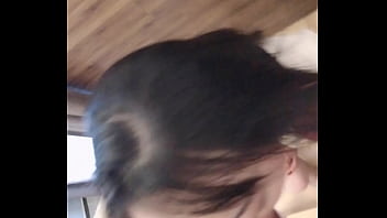 Lambassadora update #2 7 18 jul 18 2025