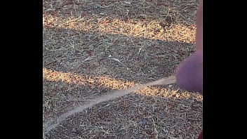 Kaso221 outside piss