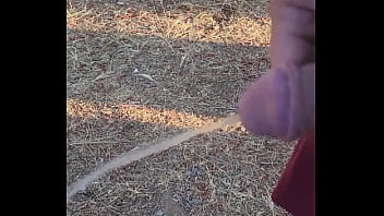 Kaso221 outside piss