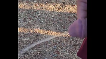 Kaso221 outside piss