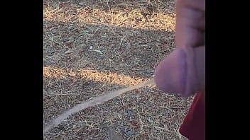 Kaso221 outside piss