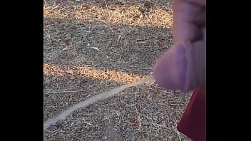 Kaso221 outside piss