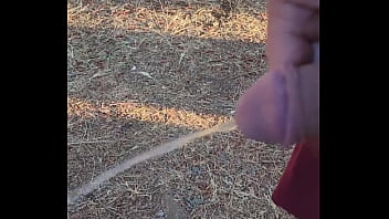 Kaso221 outside piss