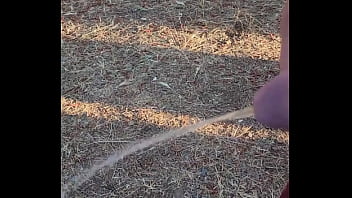 Kaso221 outside piss