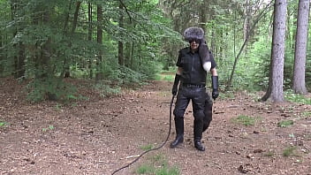 The Bullwhip Wants To Dance thumbnail