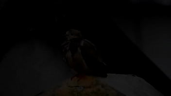 The venezuelan singer alexander faria