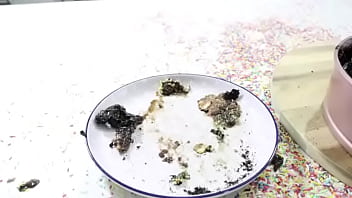 Howtobasic Howtobasic