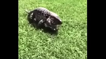 écrivez un titre différent mais toujours pertinent