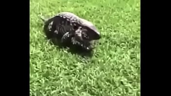 écrivez un titre différent mais toujours pertinent