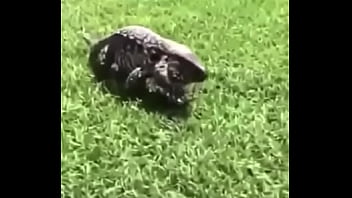 écrivez un titre différent mais toujours pertinent