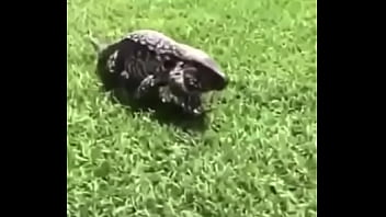 écrivez un titre différent mais toujours pertinent