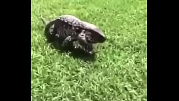 écrivez un titre différent mais toujours pertinent