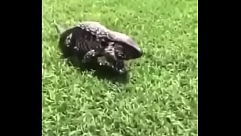 écrivez un titre différent mais toujours pertinent