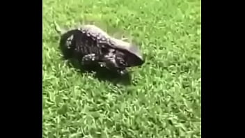 écrivez un titre différent mais toujours pertinent