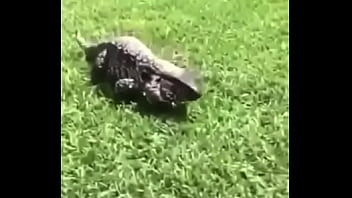 écrivez un titre différent mais toujours pertinent