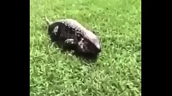 écrivez Un Titre Différent Mais Toujours Pertinent thumbnail