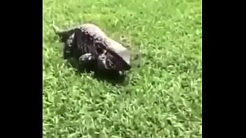 écrivez un titre différent mais toujours pertinent