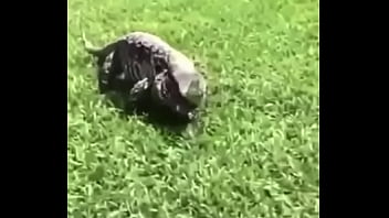 écrivez un titre différent mais toujours pertinent