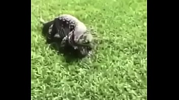 écrivez un titre différent mais toujours pertinent