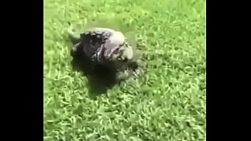 écrivez un titre différent mais toujours pertinent