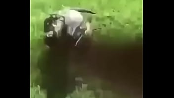 écrivez un titre différent mais toujours pertinent