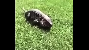 écrivez un titre différent mais toujours pertinent