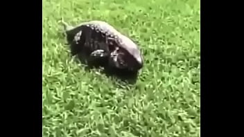 écrivez un titre différent mais toujours pertinent