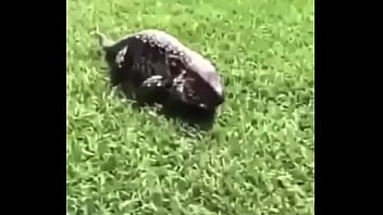 écrivez un titre différent mais toujours pertinent