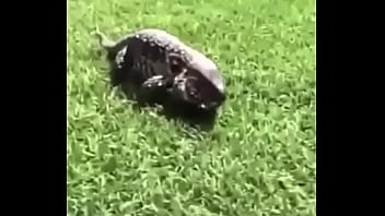 écrivez un titre différent mais toujours pertinent