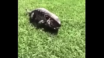 écrivez un titre différent mais toujours pertinent