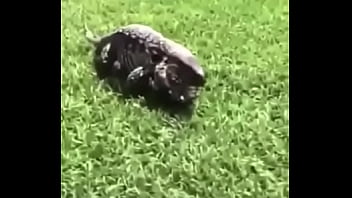 écrivez un titre différent mais toujours pertinent