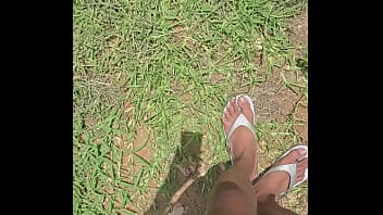 Stomping around the yard everything looks so small from up here