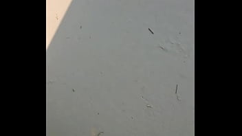 Stomping around the yard everything looks so small from up here